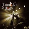 About Murivukalay Ormmakal Song